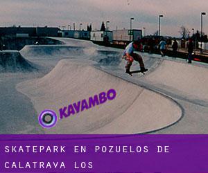 Skatepark en Pozuelos de Calatrava (Los)