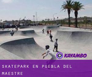 Skatepark en Puebla del Maestre