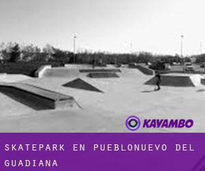 Skatepark en Pueblonuevo del Guadiana