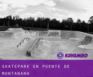 Skatepark en Puente de Montañana