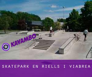 Skatepark en Riells i Viabrea