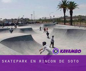 Skatepark en Rincón de Soto