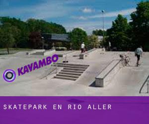 Skatepark en Río Aller