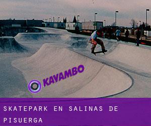 Skatepark en Salinas de Pisuerga