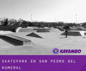 Skatepark en San Pedro del Romeral