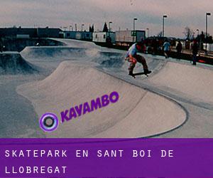 Skatepark en Sant Boi de Llobregat