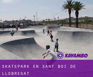 Skatepark en Sant Boi de Llobregat