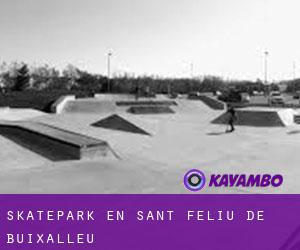 Skatepark en Sant Feliu de Buixalleu