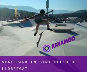 Skatepark en Sant Feliu de Llobregat