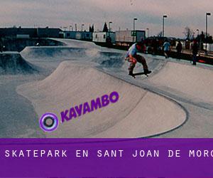 Skatepark en Sant Joan de Moró