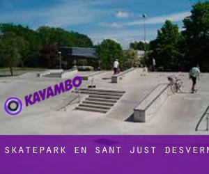 Skatepark en Sant Just Desvern Skatepark en Sant Just Desvern