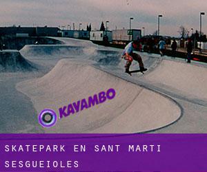 Skatepark en Sant Martí Sesgueioles Skatepark en Sant Martí Sesgueioles