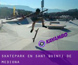 Skatepark en Sant Quintí de Mediona Skatepark en Sant Quintí de Mediona