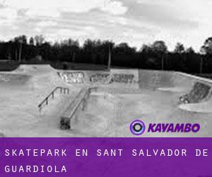 Skatepark en Sant Salvador de Guardiola Skatepark en Sant Salvador de Guardiola