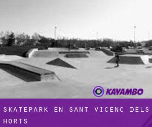 Skatepark en Sant Vicenç dels Horts