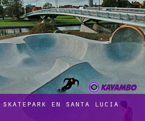Skatepark en Santa Lucía