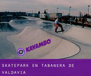 Skatepark en Tabanera de Valdavia