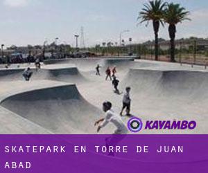 Skatepark en Torre de Juan Abad