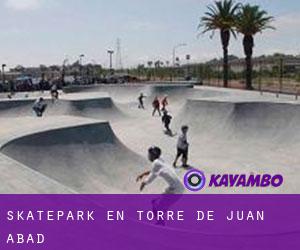 Skatepark en Torre de Juan Abad Skatepark en Torre de Juan Abad