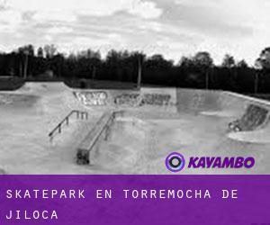 Skatepark en Torremocha de Jiloca