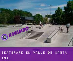 Skatepark en Valle de Santa Ana