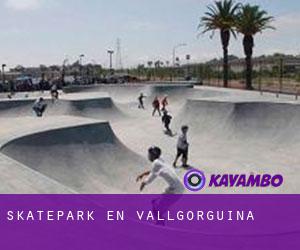 Skatepark en Vallgorguina Skatepark en Vallgorguina
