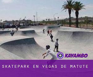 Skatepark en Vegas de Matute
