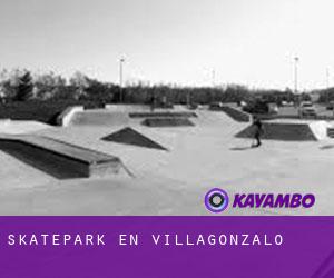 Skatepark en Villagonzalo