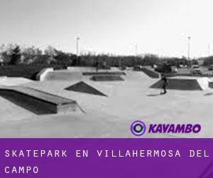 Skatepark en Villahermosa del Campo