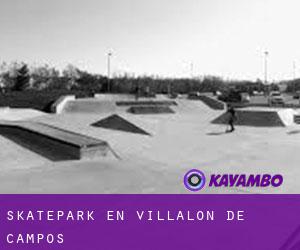 Skatepark en Villalón de Campos