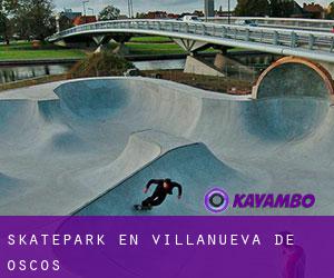 Skatepark en Villanueva de Oscos