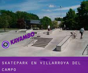 Skatepark en Villarroya del Campo