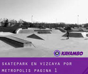 Skatepark en Vizcaya por metropolis - página 1