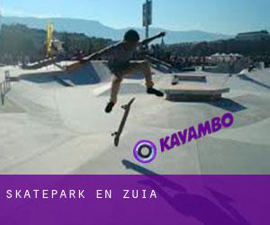 Skatepark en Zuia