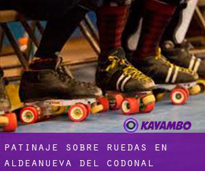 Patinaje sobre ruedas en Aldeanueva del Codonal