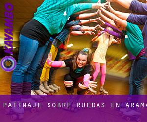 Patinaje sobre ruedas en Arama Patinaje sobre ruedas en Arama