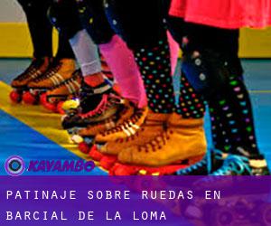 Patinaje sobre ruedas en Barcial de la Loma Patinaje sobre ruedas en Barcial de la Loma