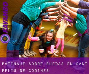 Patinaje sobre ruedas en Sant Feliu de Codines Patinaje sobre ruedas en Sant Feliu de Codines