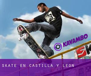 skate en Castilla y León