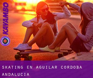 skating en Aguilar (Córdoba, Andalucía) skating en Aguilar (Córdoba, Andalucía)