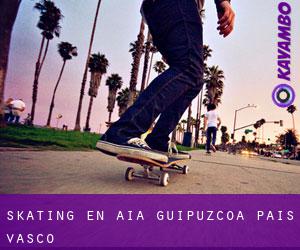 skating en Aia (Guipúzcoa, País Vasco) skating en Aia (Guipúzcoa, País Vasco)