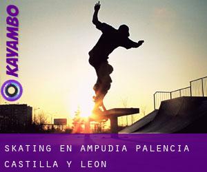 skating en Ampudia (Palencia, Castilla y León)