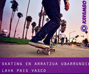 skating en Arratzua-Ubarrundia (Álava, País Vasco)