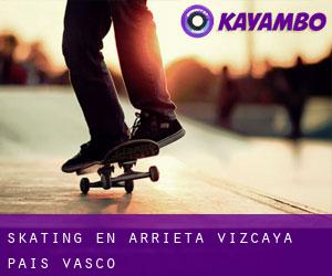 skating en Arrieta (Vizcaya, País Vasco)