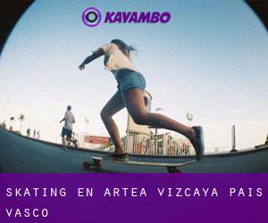 skating en Artea (Vizcaya, País Vasco)