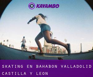 skating en Bahabón (Valladolid, Castilla y León)