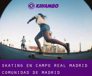 skating en Campo Real (Madrid, Comunidad de Madrid)