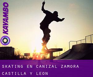 skating en Cañizal (Zamora, Castilla y León)