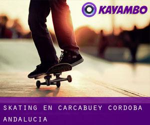 skating en Carcabuey (Córdoba, Andalucía) skating en Carcabuey (Córdoba, Andalucía)
