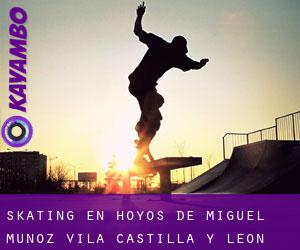 skating en Hoyos de Miguel Muñoz (Ávila, Castilla y León)